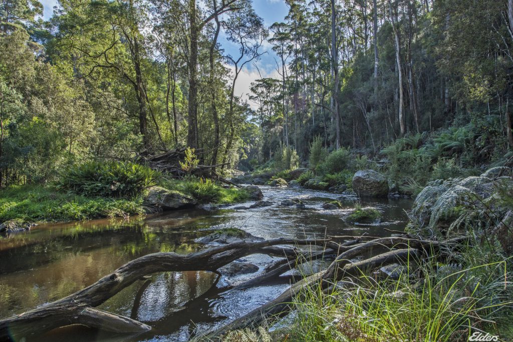 Graham Terry property