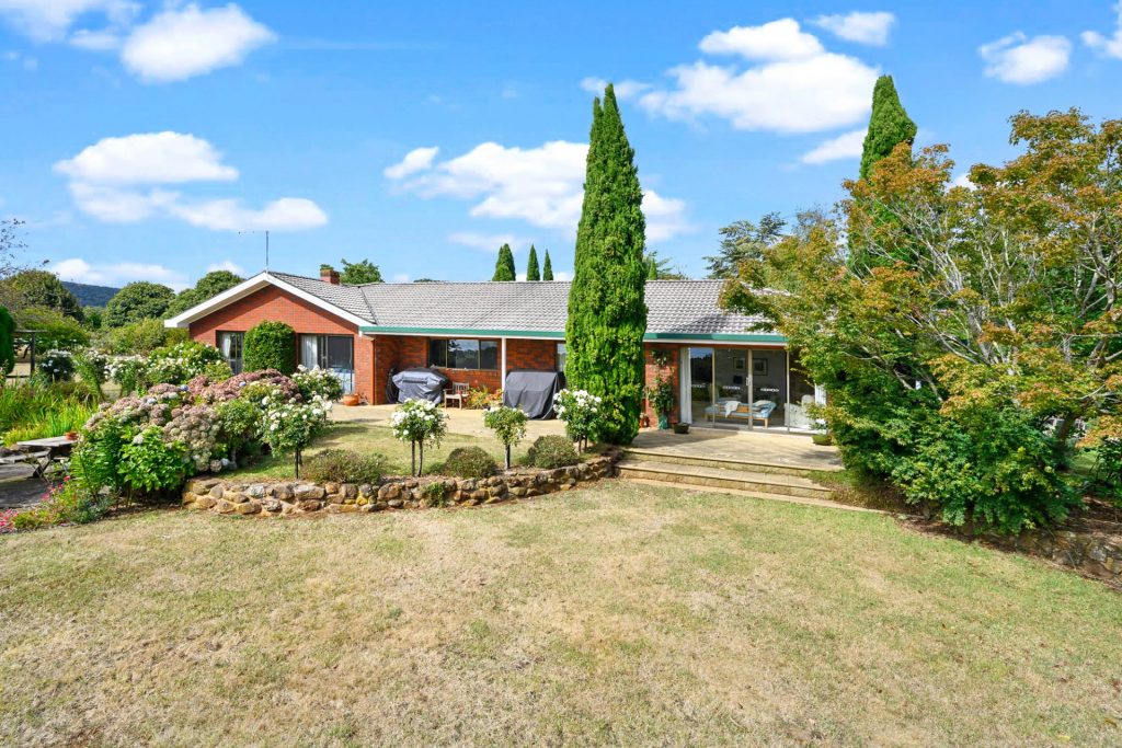Holm Family | Vendor property